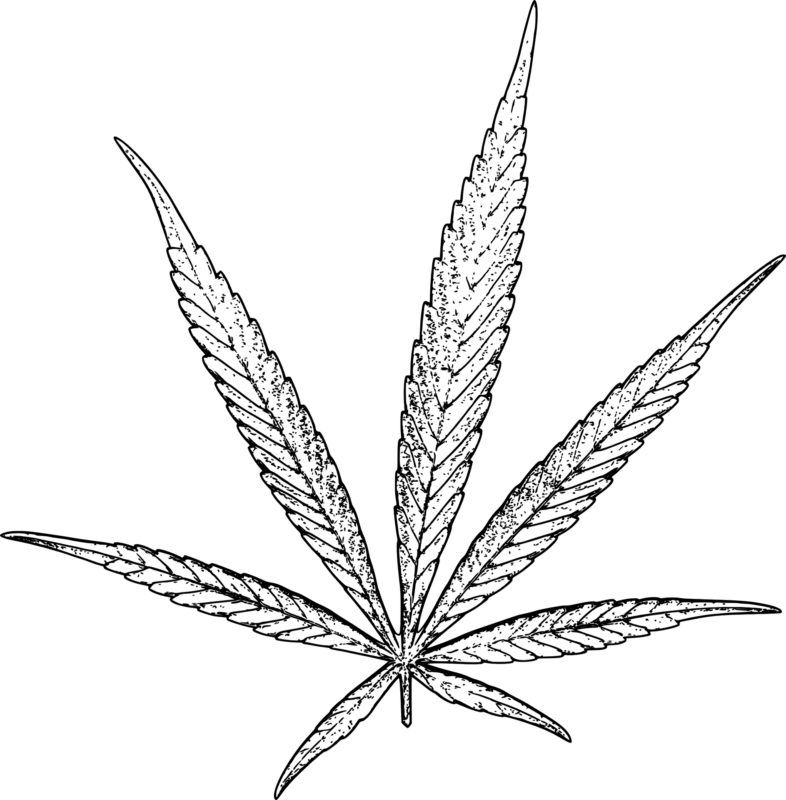 Ein komplett schwarzes Quadrat ohne sichtbaren Inhalt oder Objekte, das an einen ruhigen Abend nach der Einnahme von beruhigendem CBD erinnert.